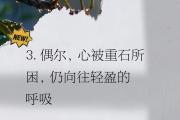 Kaiyuan Game card-比分不胜遐想，球迷心情沉重的简单介绍
