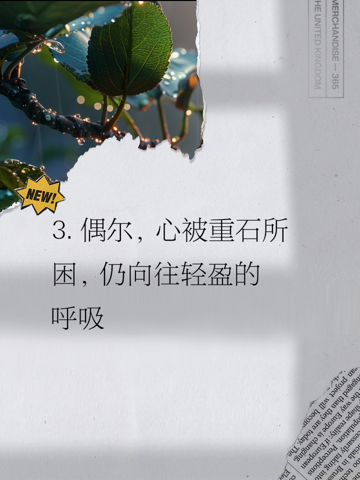 比分不胜遐想，球迷心情沉重的简单介绍