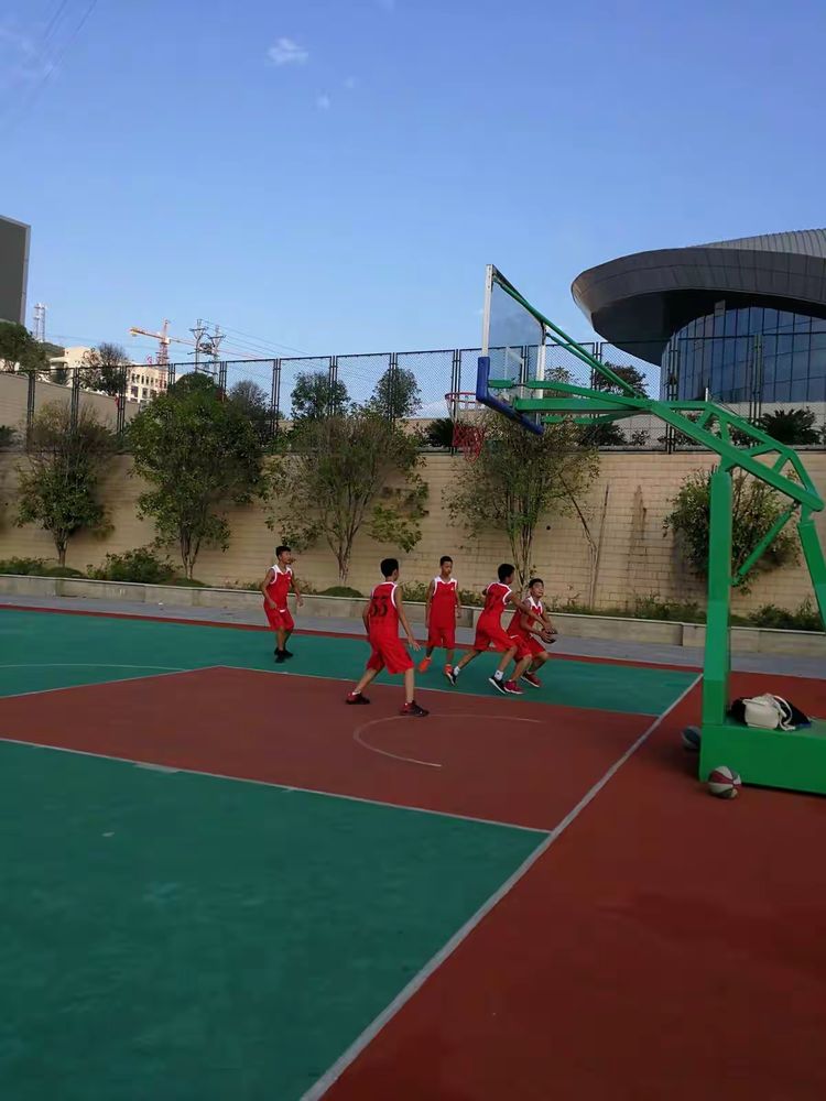 俄罗斯篮球协会将举办训练营