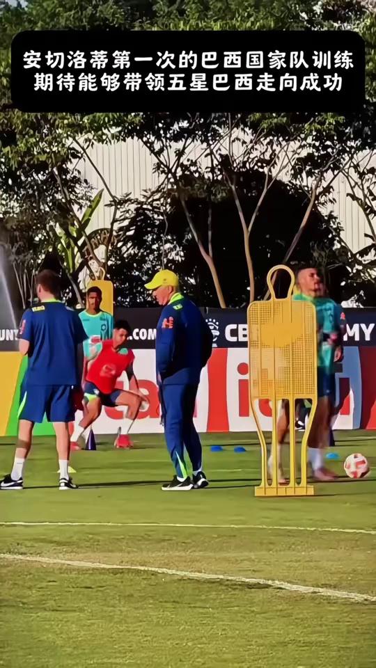 巴西队突破重重困难,一路逆袭夺冠 巴西队突破重重困难,一路逆袭夺冠