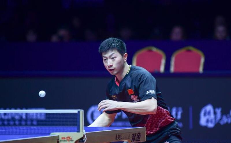 德国队横扫波兰队，梁靖崑带队取胜的简单介绍